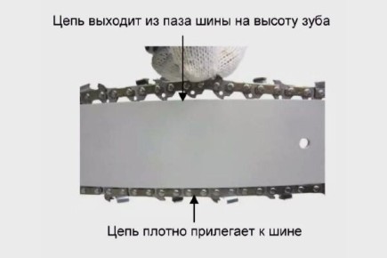 Как правильно использовать бензопилу: советы для настоящих садоводов
