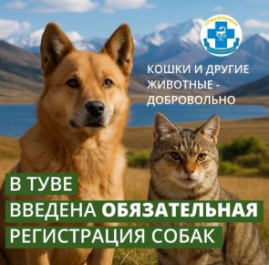 Служба ветеринарии Тувы призывает владельцев кошек и собак регистрировать их в системе «Хорриот»