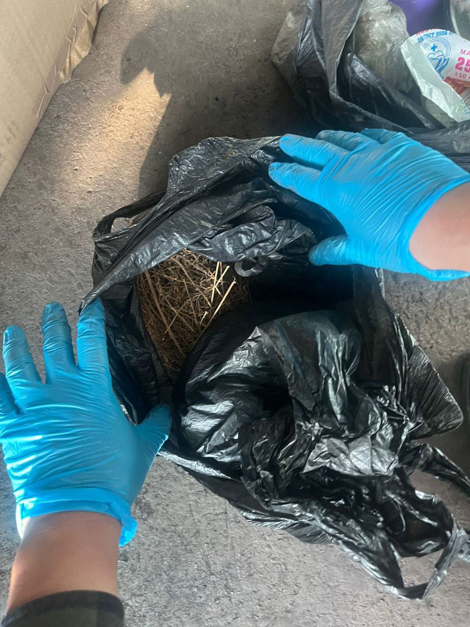 В Кызыле сотрудниками наркоконтроля задержан подозреваемый в незаконном хранении наркотических средств в крупном размере В Кызыле сотрудниками наркоконтроля задержан подозреваемый в незаконном хранении наркотических средств в крупном размере