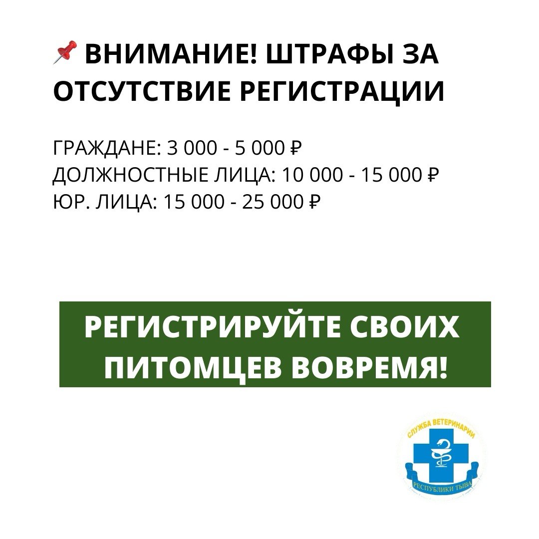 Служба ветеринарии Тувы призывает владельцев кошек и собак регистрировать их в системе «Хорриот» Служба ветеринарии Тувы призывает владельцев кошек и собак регистрировать их в системе «Хорриот»