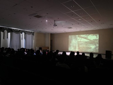 Во Дворце молодежи организованы кинопоказы для школьников во время каникул