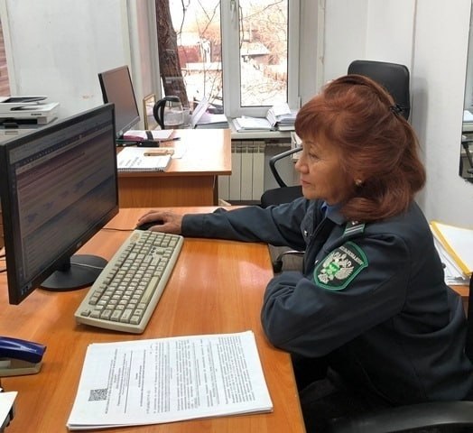 Коллегия службы по тарифам Тувы обсудила ход реализации инвестиционных программ в энергетическом секторе Коллегия службы по тарифам Тувы обсудила ход реализации инвестиционных программ в энергетическом секторе