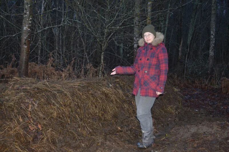 Создание компостной кучи осенью без навоза