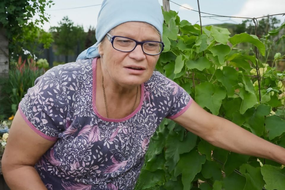 Как справиться с жарой и получить урожай помидоров: секреты успешного полива