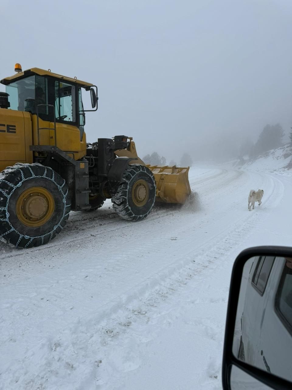 Службы дорожного хозяйства республики внимательно следят за состоянием дорог, оперативно проводят очистку покрытия и обработку его противогололедными составами при необходимости Службы дорожного хозяйства республики внимательно следят за состоянием дорог, оперативно проводят очистку покрытия и обработку его противогололедными составами при необходимости