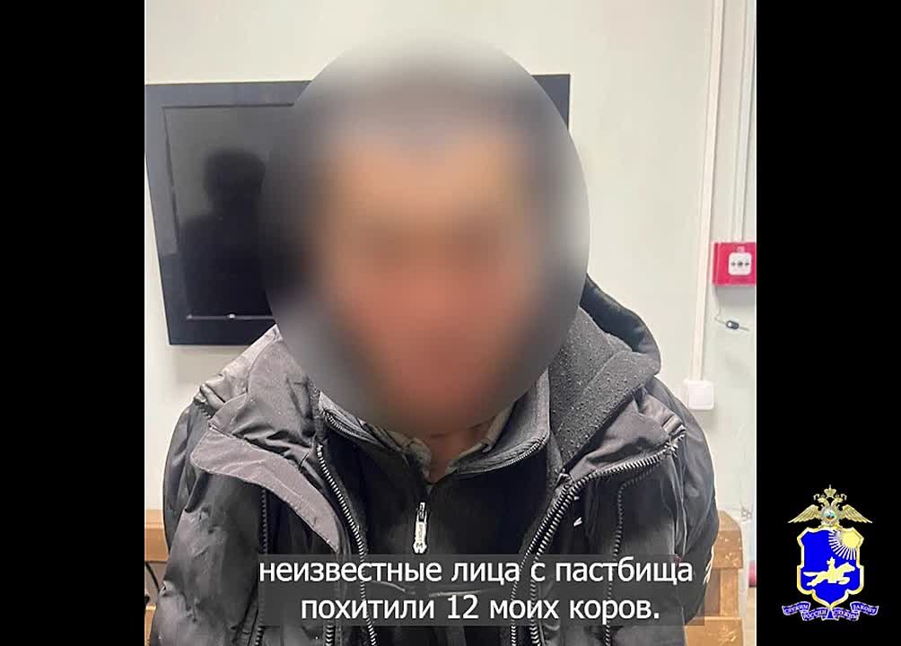 В Дзун-Хемчикском районе сотрудники полиции по «горячим следам» раскрыли кражу скота и вернули похищенных животных владелице