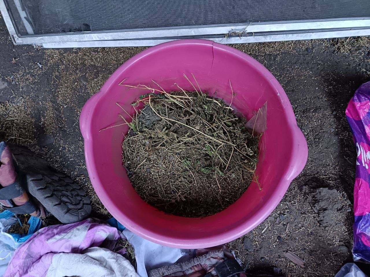 В с. Сарыг-Сеп сотрудники полиции выявили факт незаконного хранения наркотических средств в крупном размере