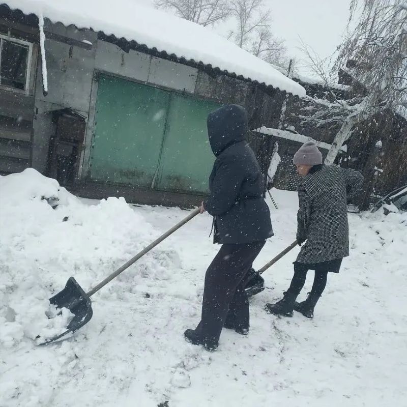  -          -  10-   - -      ,  ...