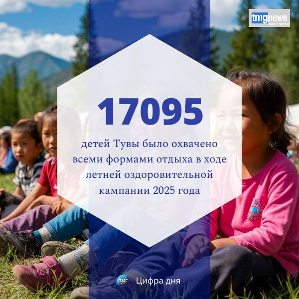   ,      2025         17095 ,   251      , 132  -, 89  ...