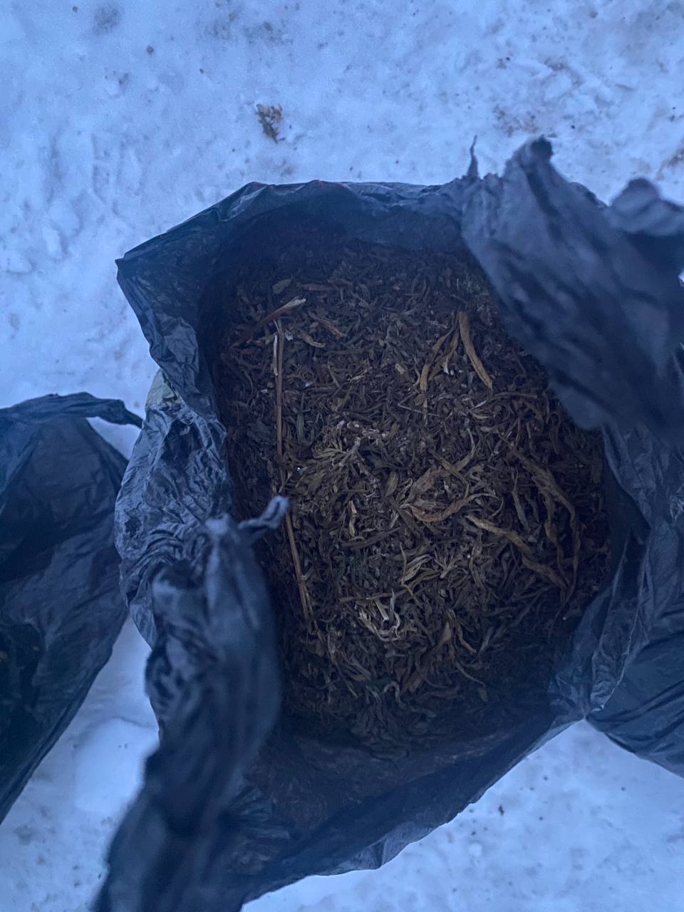 В Кызыле сотрудниками патрульно-постовой службы был задержан мужчина по подозрению в незаконном хранении гашиша В Кызыле сотрудниками патрульно-постовой службы был задержан мужчина по подозрению в незаконном хранении гашиша