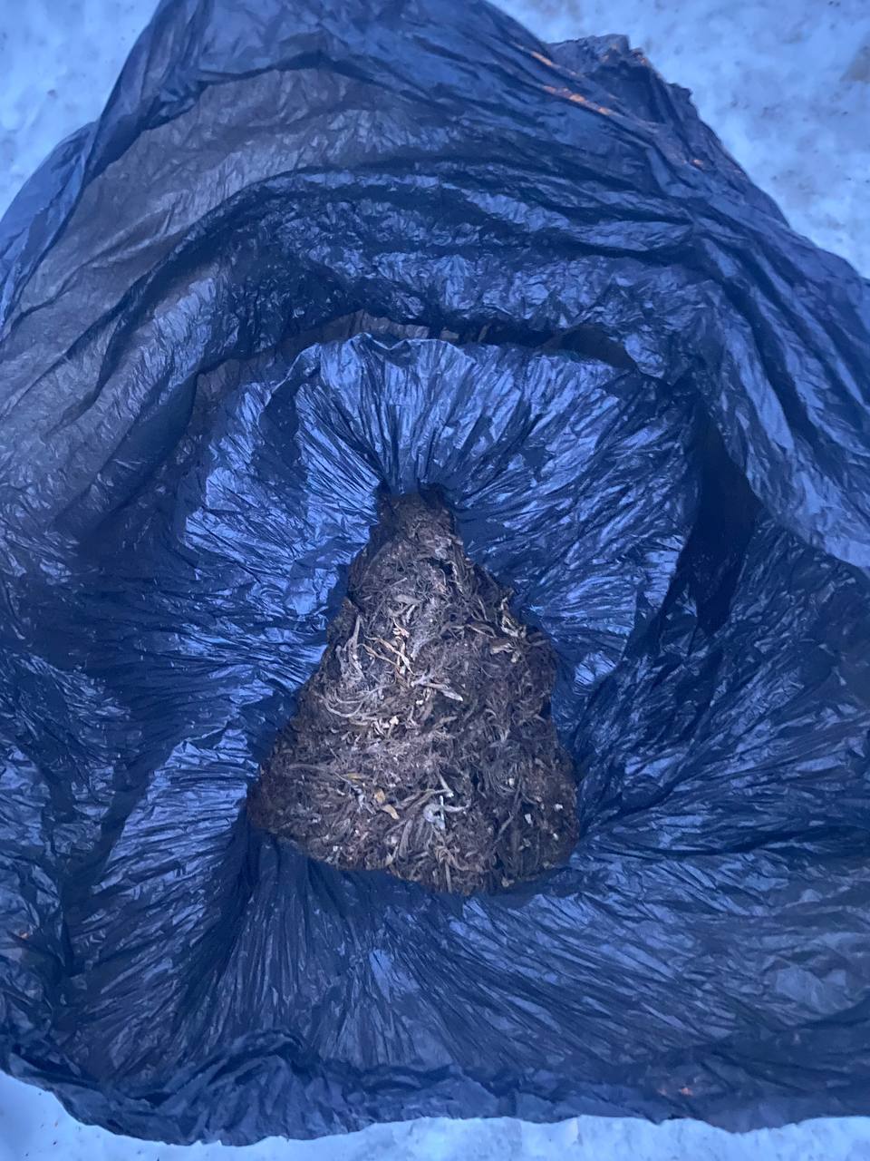 В Кызыле сотрудниками патрульно-постовой службы был задержан мужчина по подозрению в незаконном хранении гашиша В Кызыле сотрудниками патрульно-постовой службы был задержан мужчина по подозрению в незаконном хранении гашиша