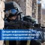 День создания подразделений по борьбе с организованной преступностью в России