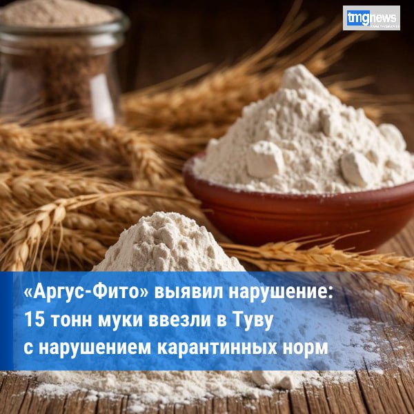 Партия муки из Красноярского края задержана в Туве из-за нарушений фитосанитарных правил