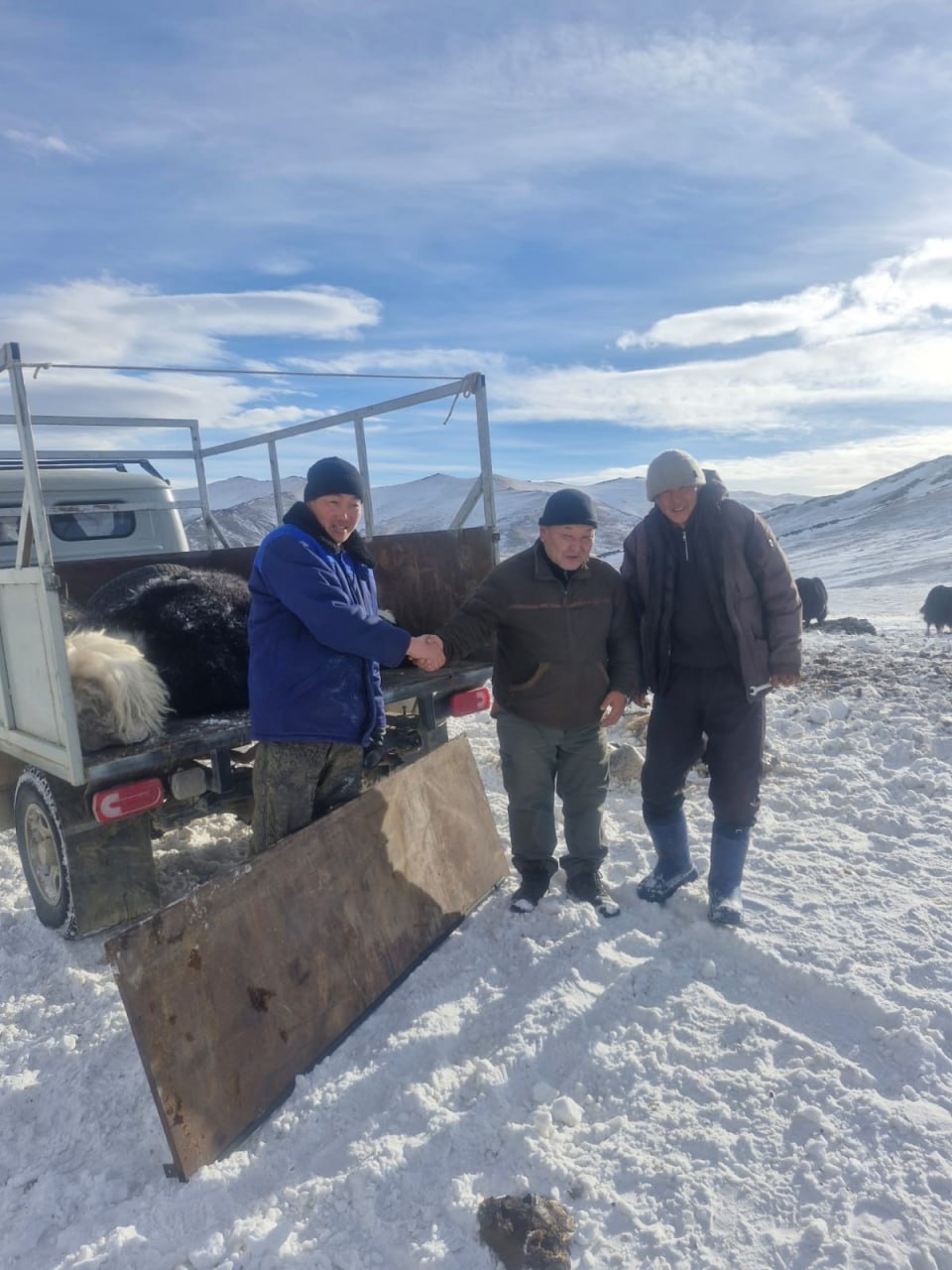 В Монгун-Тайге компенсировали ущерб от ирбиса для сохранения редкого хищника В Монгун-Тайге компенсировали ущерб от ирбиса для сохранения редкого хищника