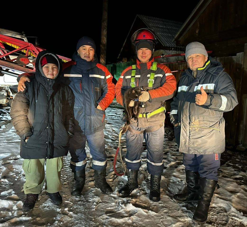 Электри септекчилери чагы кырынга ийи хонган диисти джрген Электри септекчилери чагы кырынга ийи хонган диисти джрген