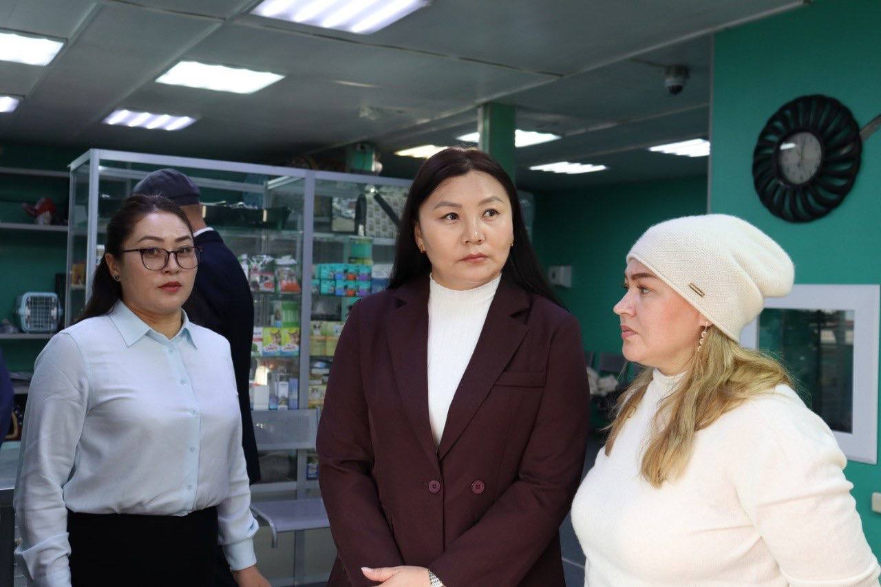 В Туву прибыли монгольские ветеринарные эксперты для укрепления сотрудничества В Туву прибыли монгольские ветеринарные эксперты для укрепления сотрудничества