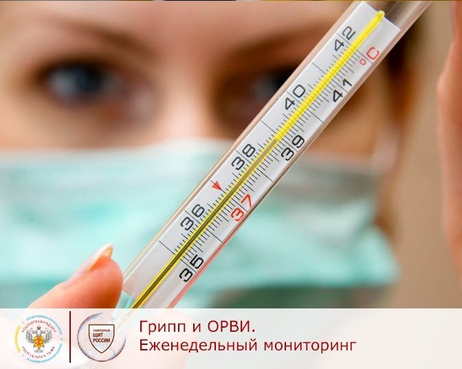 По данным Управления Роспотребнадзора за прошедшую неделю в республике зарегистрировано 509 случаев ОРВИ с показателем заболеваемости 15,1 на 10 тыс