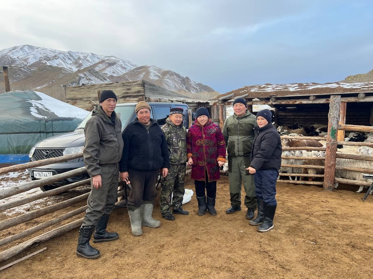 В Кызылском районе провели искусственное осеменение почти 600 овец для улучшения породного состава В Кызылском районе провели искусственное осеменение почти 600 овец для улучшения породного состава