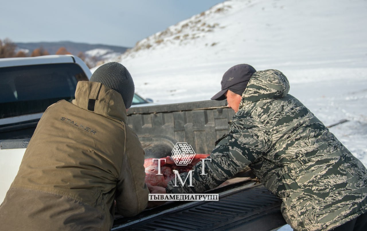 Тува собирает зимний груз бойцам: свежее мясо и новогодние подарки в зону СВО Тува собирает зимний груз бойцам: свежее мясо и новогодние подарки в зону СВО