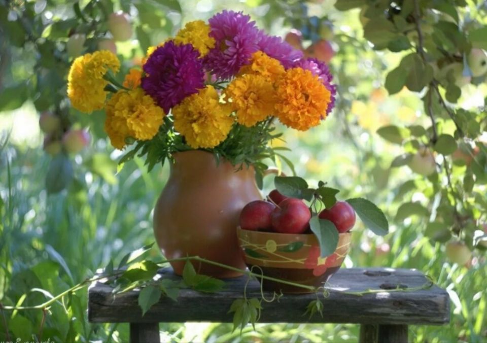 Осенние заботы садоводов: советы по уходу за растениями в конце сезона