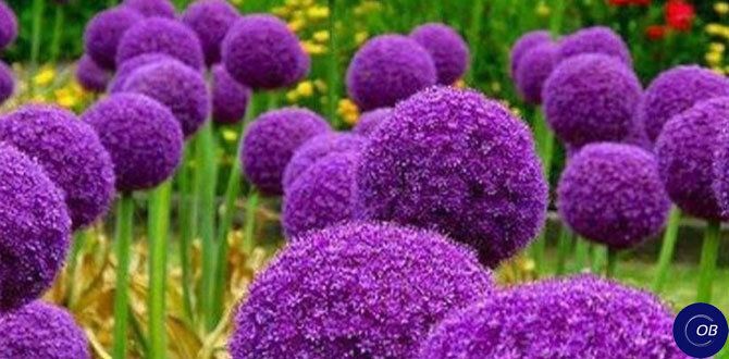 Декоративные луки: Изюминка ландшафтного дизайна, которая вдохновляет