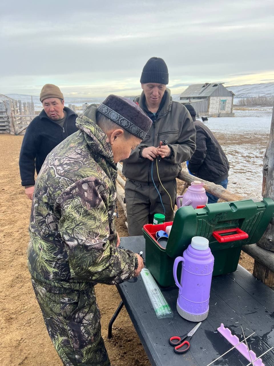 В Кызылском районе провели искусственное осеменение почти 600 овец для улучшения породного состава В Кызылском районе провели искусственное осеменение почти 600 овец для улучшения породного состава