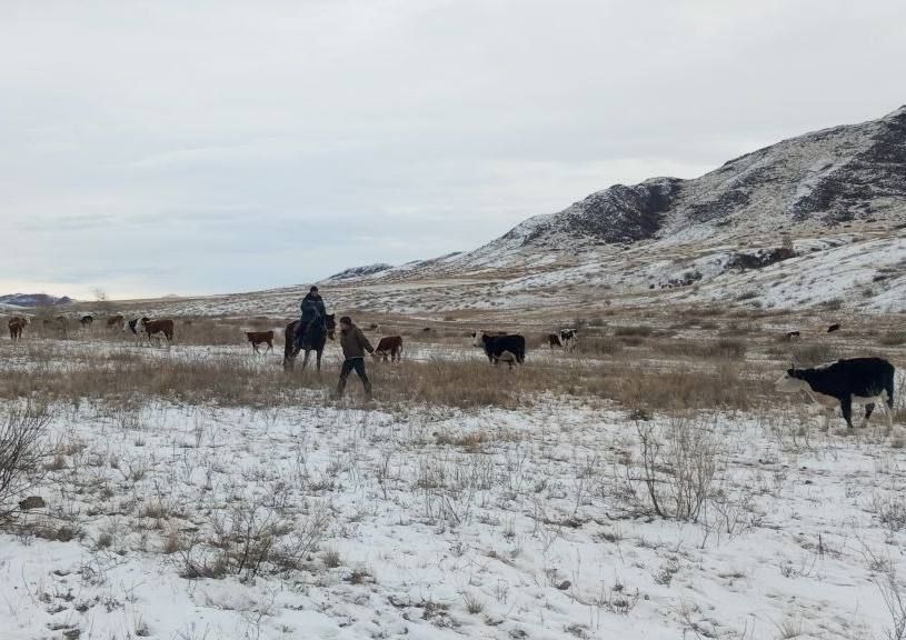 -   -     , -         ,      