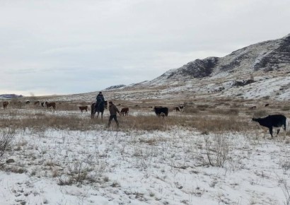 Чн-Хемчик кожуунну кдээ ажыл-агый эргелели малчын аалдарже ншкнн кылып, мал-маган тудуп турар ишчилерге малын одарже хайгаарал чок ндрбезин чагып, сагындырыг бижиктерни лээнин чагырга чери дынаткан