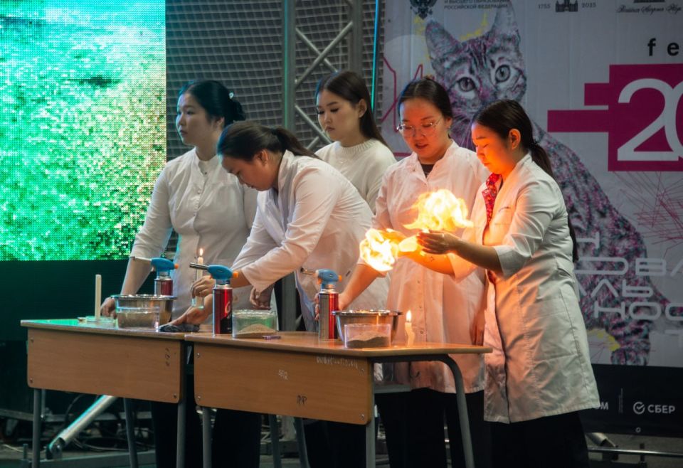         -  ,          ,       2022  2031 