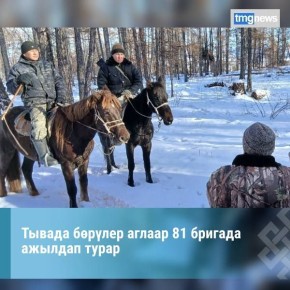 ТР-ни Крнени аныыр комитедини дынатканы-биле алырга, республикада брлер аглаар 81 бригада ажылдап турар