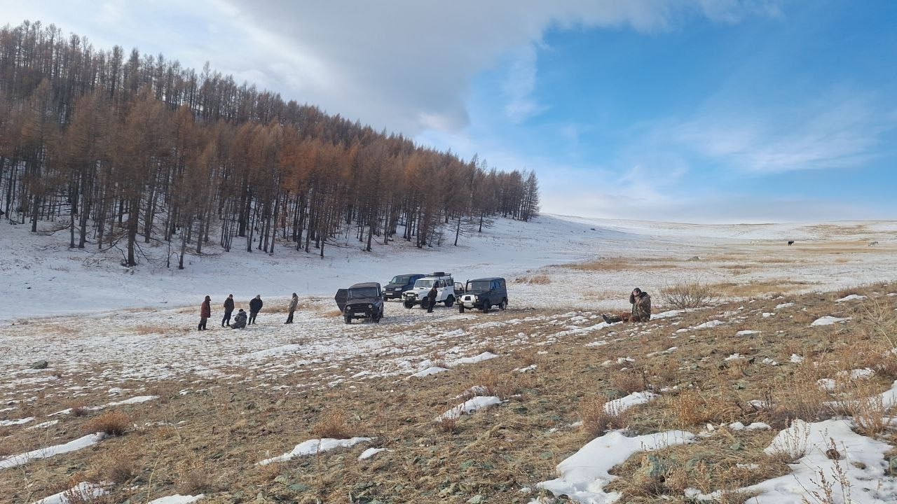 81 охотничья бригада работает в Туве в этом году 81 охотничья бригада работает в Туве в этом году