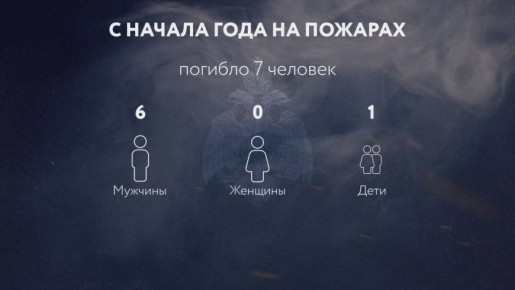 Оперативная обстановка за неделю на территории Республики Тыва в цифрах