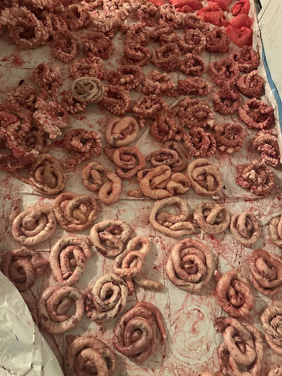 В Туве студенты аграрных специальностей посетили современный перерабатывающий комплекс В Туве студенты аграрных специальностей посетили современный перерабатывающий комплекс