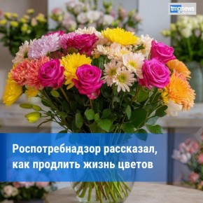 В Роспотребнадзоре объяснили, как продлить свежесть букетов цветов