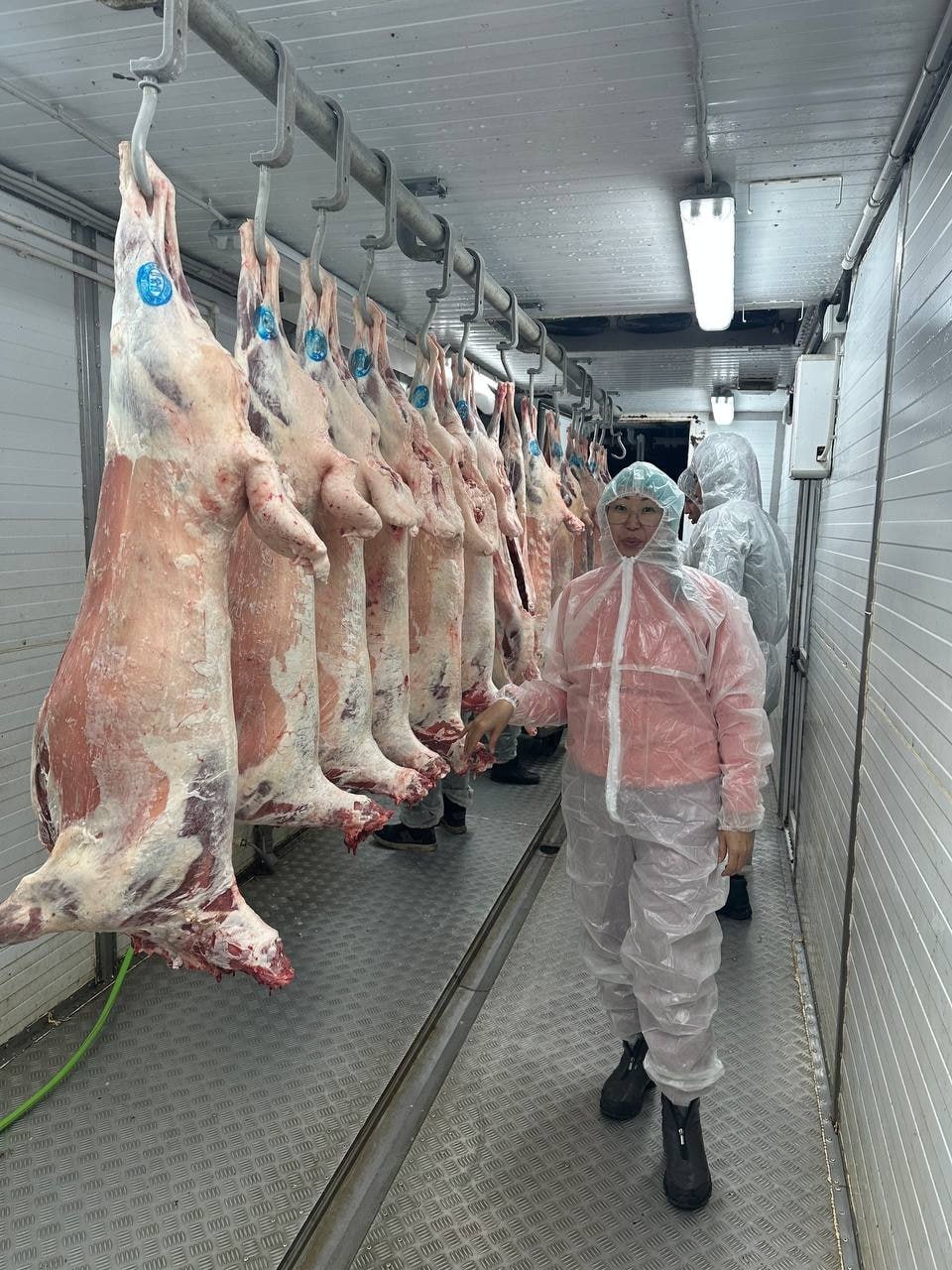 В Туве студенты аграрных специальностей посетили современный перерабатывающий комплекс В Туве студенты аграрных специальностей посетили современный перерабатывающий комплекс