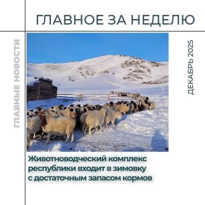 Представляем дайджест главных событий, которые произошли в Туве на минувшей неделе