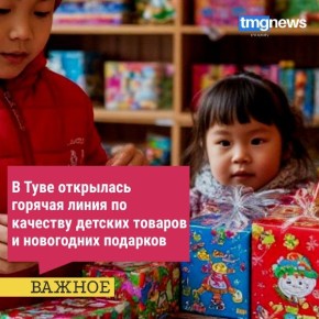 В Туве открылась горячая линия по качеству детских товаров и новогодних подарков
