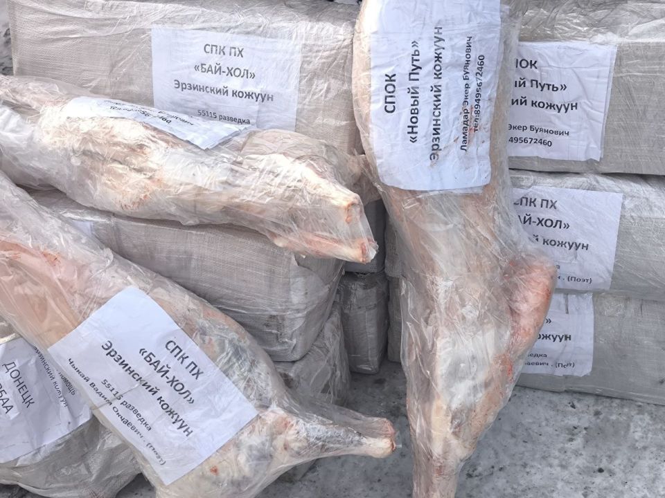 � ���� ������������ ���������� ���� ������������ ������