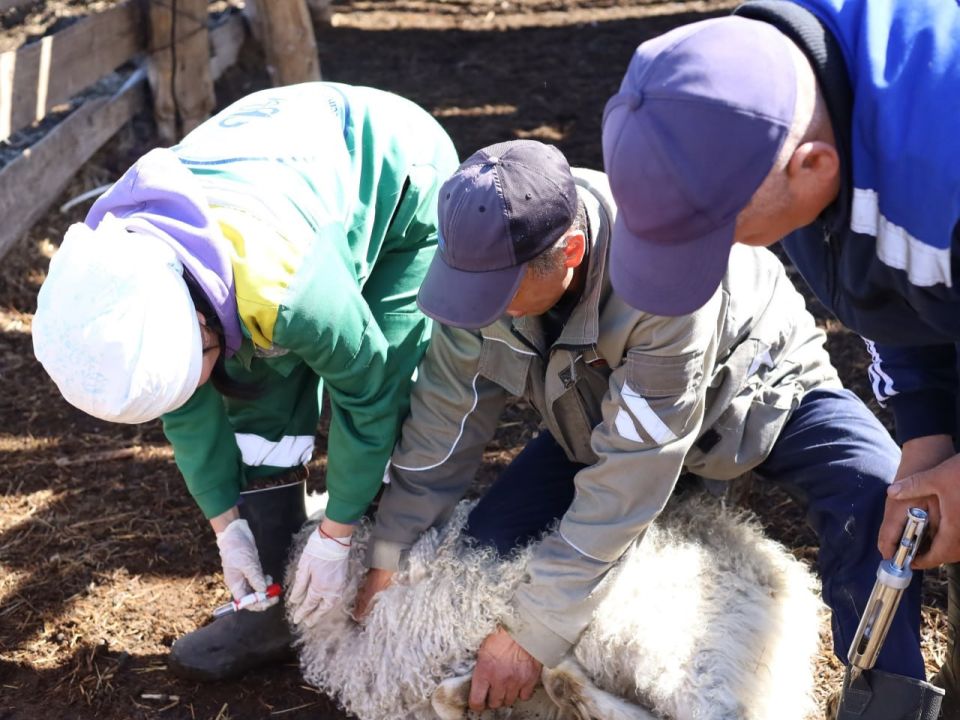 � ���� ��������� ������� �������� ������� �������� ��������� �����