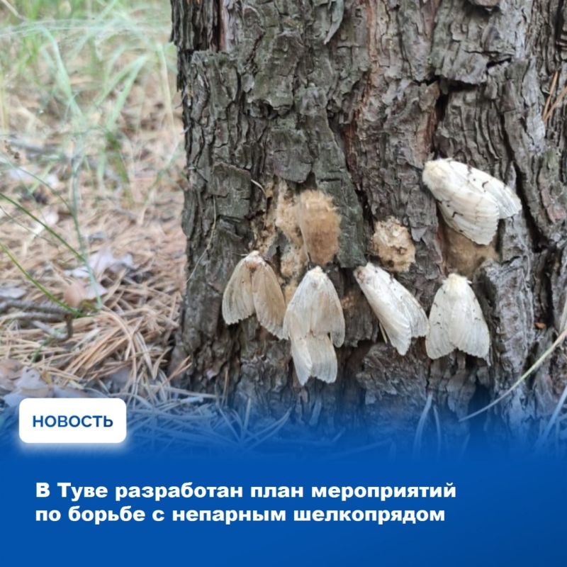 ���������� ������ ������ ���� ���������� ���� ��������� ���������� ����������� ���������� ����������� �� ���������� ����������� ��������� ���������� �� ���������� ��� ���������� - ����������, ���������� � �����������