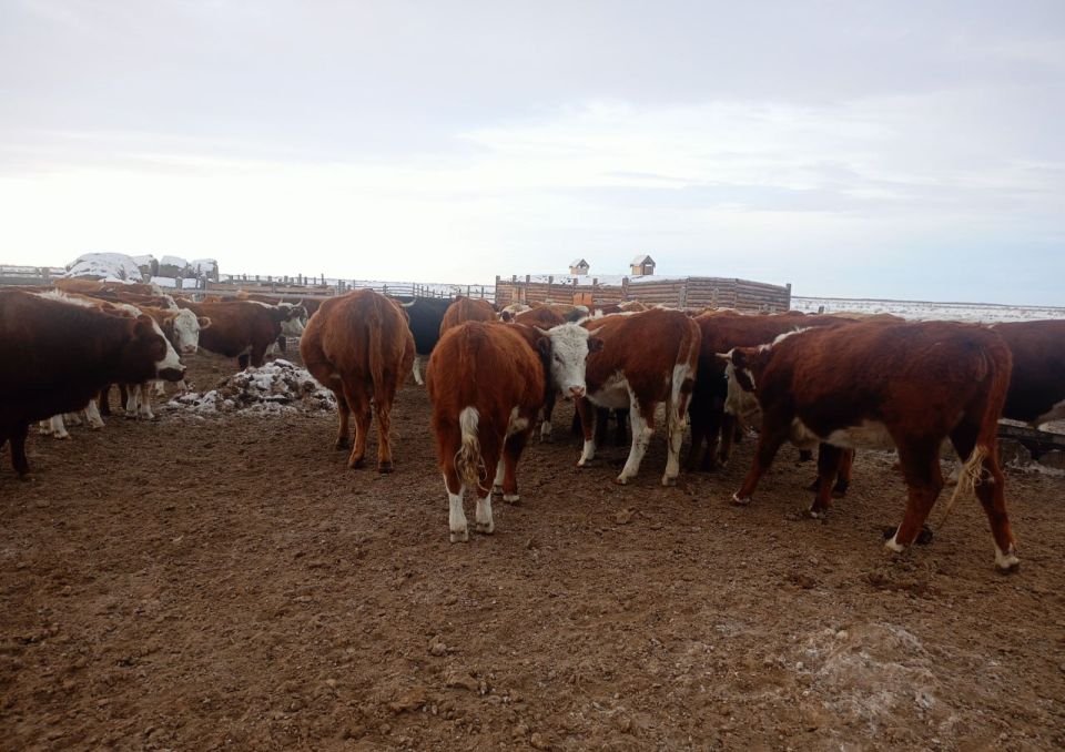 ���������������� � ����������� ���������� ��� ������� ��������� � ����� ����� � ������������ ���� ����