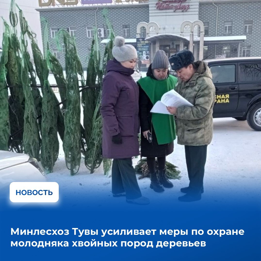 Мероприятия по предотвращению незаконных рубок молодняка хвойных пород деревьев предпринимаются ежегодно в преддверии новогодних праздников