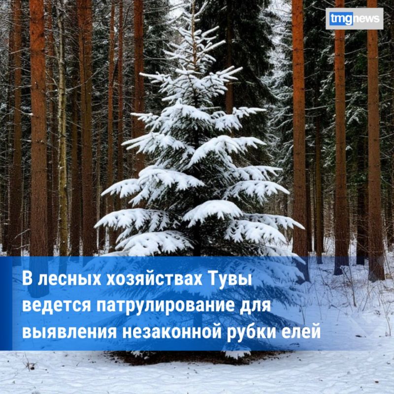 ��������� ���� ��������� ���� �� ������ ��������� ������� ����� ��������