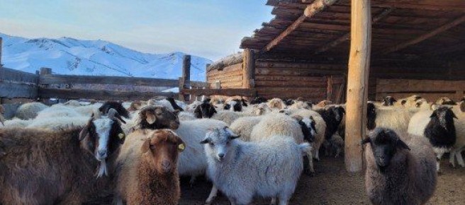 Малды кш-шыдалын, чем хандырылгазын, харны кылынын кр-биле малчын турлагларынче доктаамал нери – кол ажыл