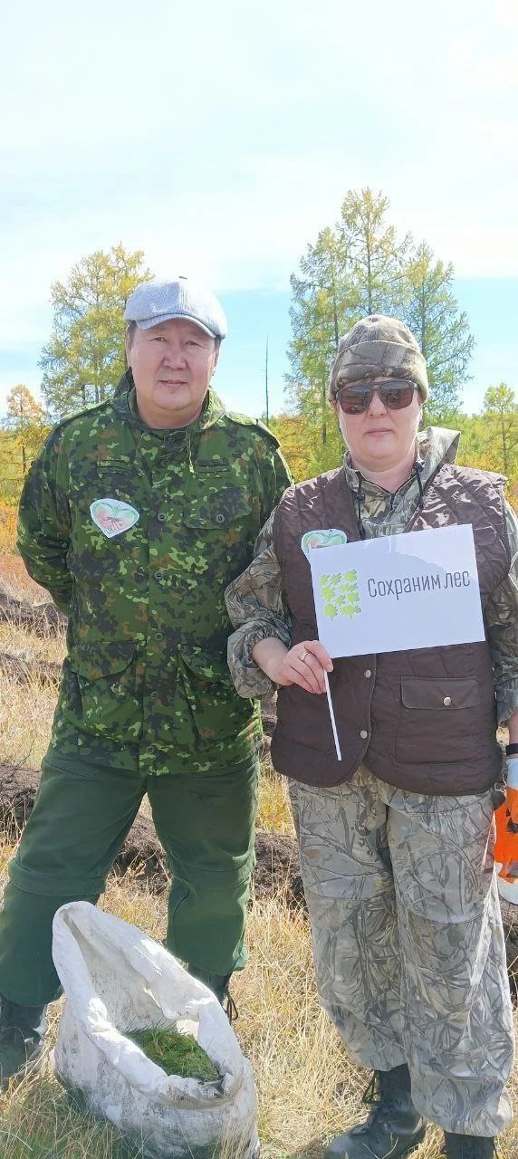 В Туве восстановили более 11 тысяч гектаров леса в 2025 году В Туве восстановили более 11 тысяч гектаров леса в 2025 году