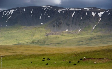 На фоне санкций Евросоюза на поставку унитазов в Россию, испанцы решили строить завод сантехники за 44 млрд тенге ($85 млн) в Казахстане