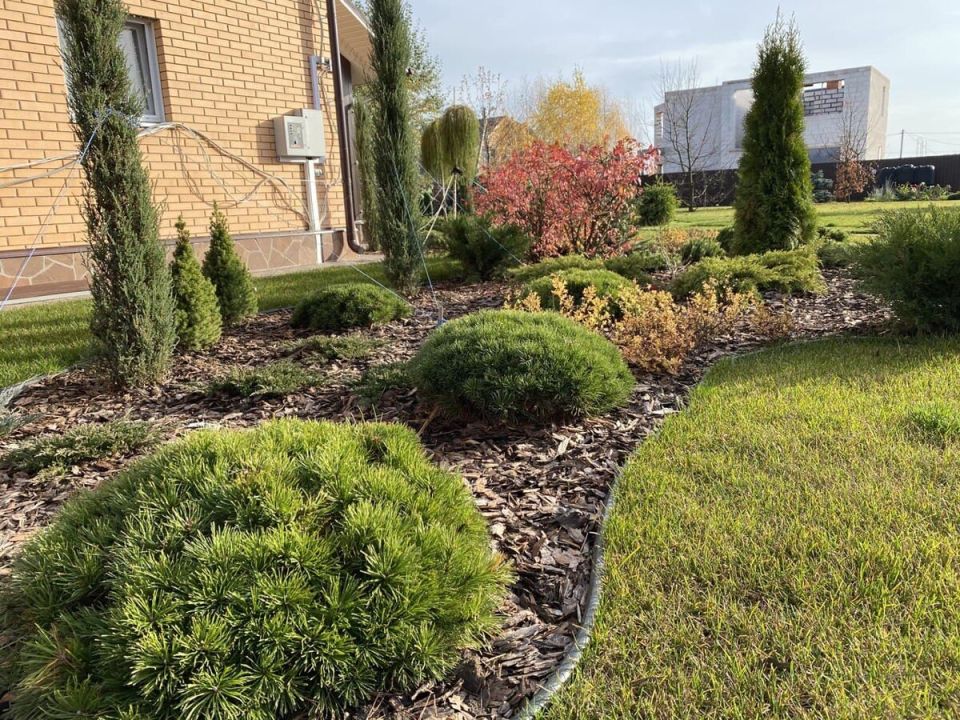 ����������� �������: ������������� ��������� �� ������ ��� �����