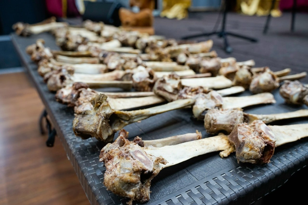 Хендирбе сый шавар мрейни тнелдери Хендирбе сый шавар мрейни тнелдери