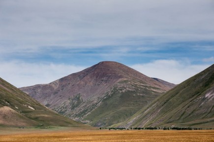 Власти Кызыла (Тува) запретили розничную продажу алкоголя на период новогодних праздников