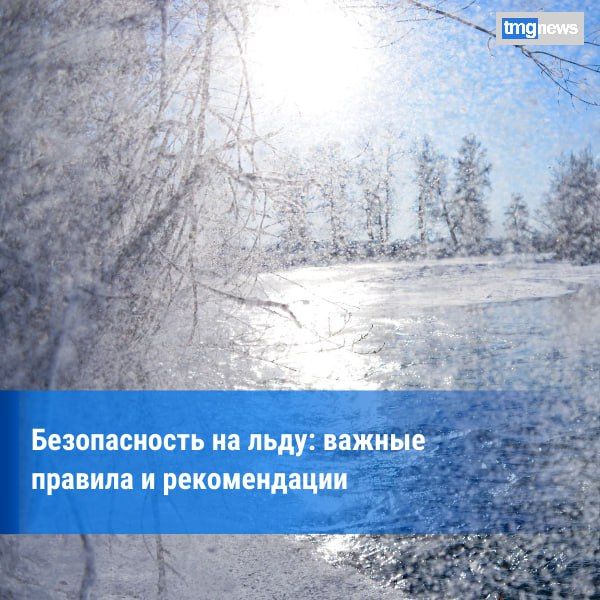 � ������������ ���� �� �������� ���������� ������� ������